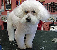 This is Target after being groomed with Ultimate®