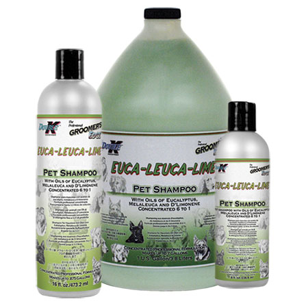 Euca-Leuca-Lime Shampoo